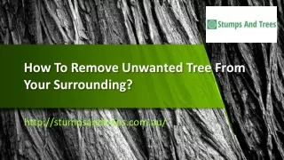 How To Remove Unwanted Tree From Your Surrounding?