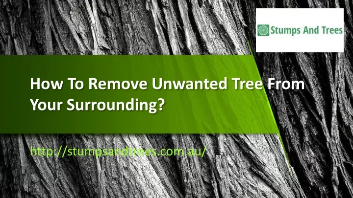 how to remove unwanted tree from your surrounding
