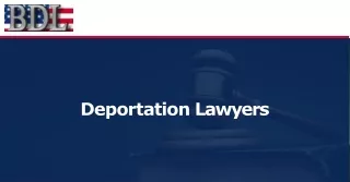 Professional deportation lawyers in Los Angeles  - Brian D Lerner