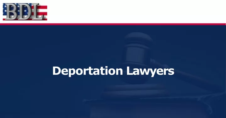deportation lawyers