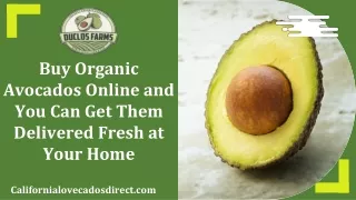 Buy Organic Avocado Online