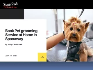 Book Pet grooming Service at Home in Spanaway