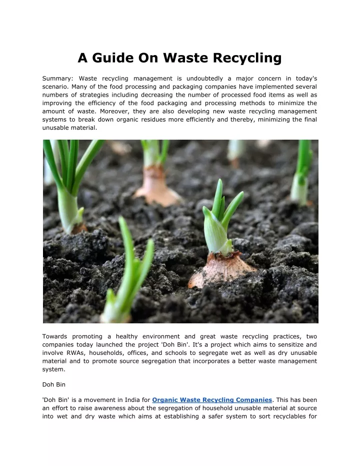 a guide on waste recycling