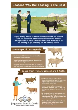 Infographic About Reasons Why Bull Leasing is the Best