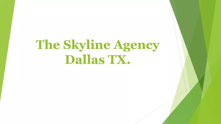 the skyline agency dallas tx