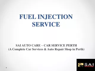 Are You Looking For Fuel Injector Specialist?