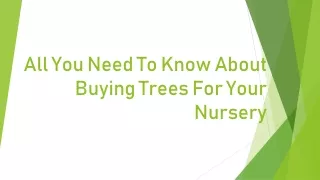 all you need to know about buying trees for your nursery