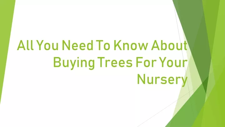 all you need to know about buying trees for your nursery