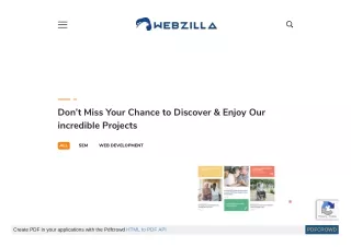 Find out our past web development projects - Webzilla