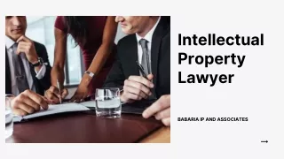 Intellectual Property Lawyer | Babaria IP and Associates