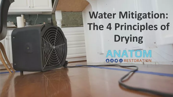 water mitigation the 4 principles of drying