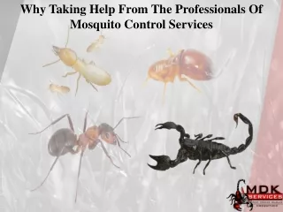 why taking help from the professionals
