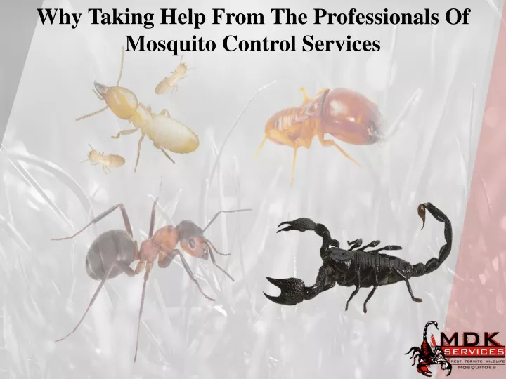 why taking help from the professionals