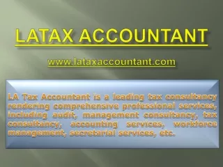Professional Accounting Service Providers