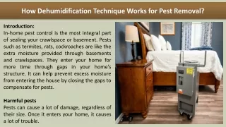 How Dehumidification Technique Works for Pest Removal