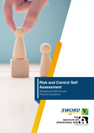 Risk and Control Self Assessment IRM