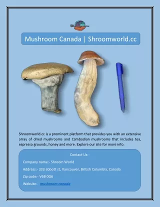 Mushroom Canada | Shroomworld.cc