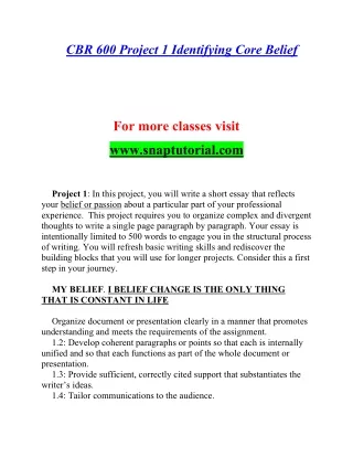 cbr 600 project 1 identifying core belief