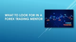 What to Look For in a Forex Trading Mentor