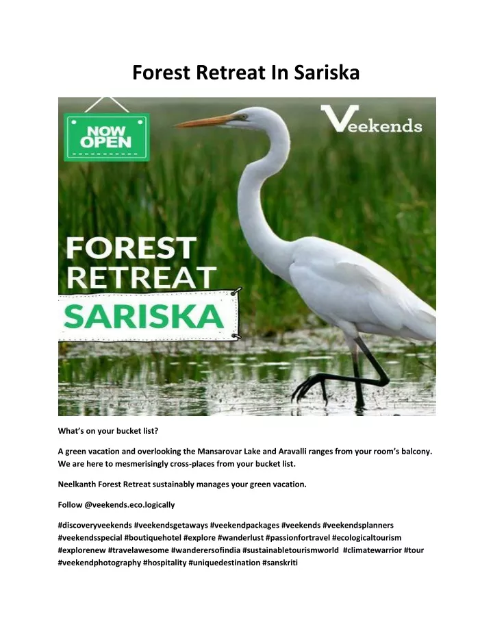 forest retreat in sariska