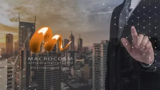 https macrocosm co za