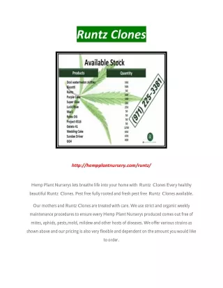 runtz clones