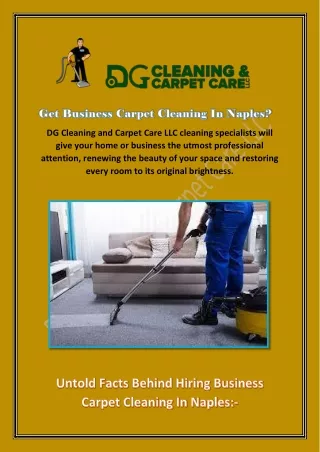 dg cleaning and carpet care llc cleaning