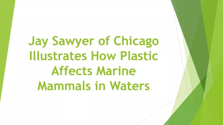 jay sawyer of chicago illustrates how plastic affects marine mammals in waters