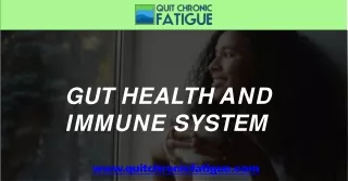Gut health and immune system - Quit Chronic Fatigue
