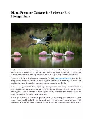 Digital Prosumer Cameras for Birders or Bird Photographers