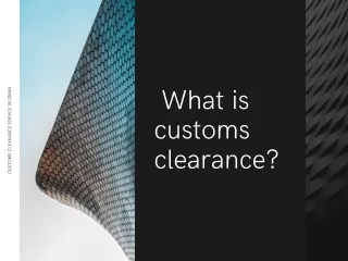 What is customs clearance? Customs clearance service in Oman