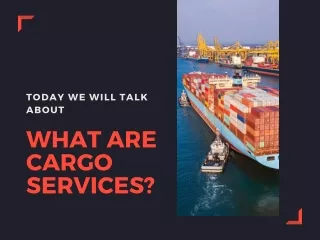 What are cargo services?