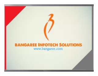 Bangaree Infotech Solutions Company Profile