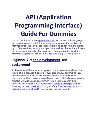 api application programming interface guide