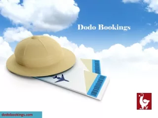 Best Flight and Hotel Booking Site in USA