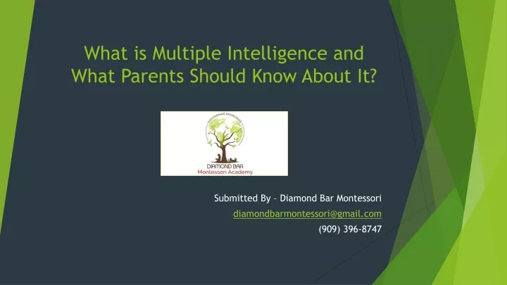 what is multiple intelligence and what parents should know about it