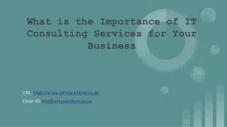 What is the Importance of IT Consulting Services for Your Business