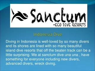 indonesia dive