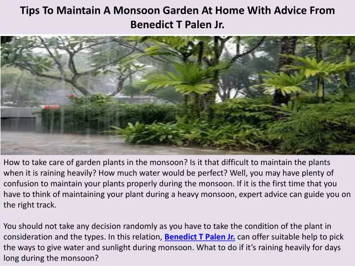 tips to maintain a monsoon garden at home with advice from benedict t palen jr