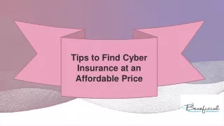 Tips to Find Cyber Insurance at an Affordable Price