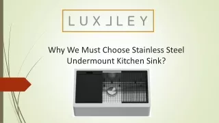 Why We should Use Stainless Steel Undermount Sink | Luxlley