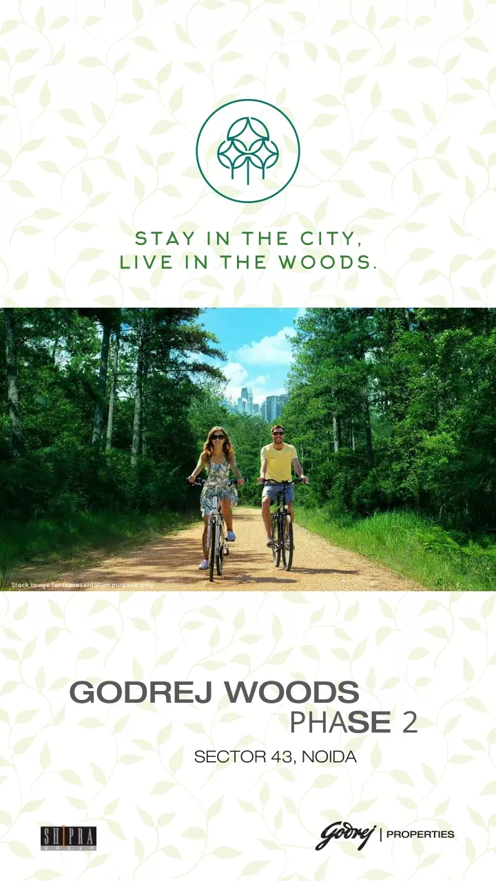 stay in the city live in the woods