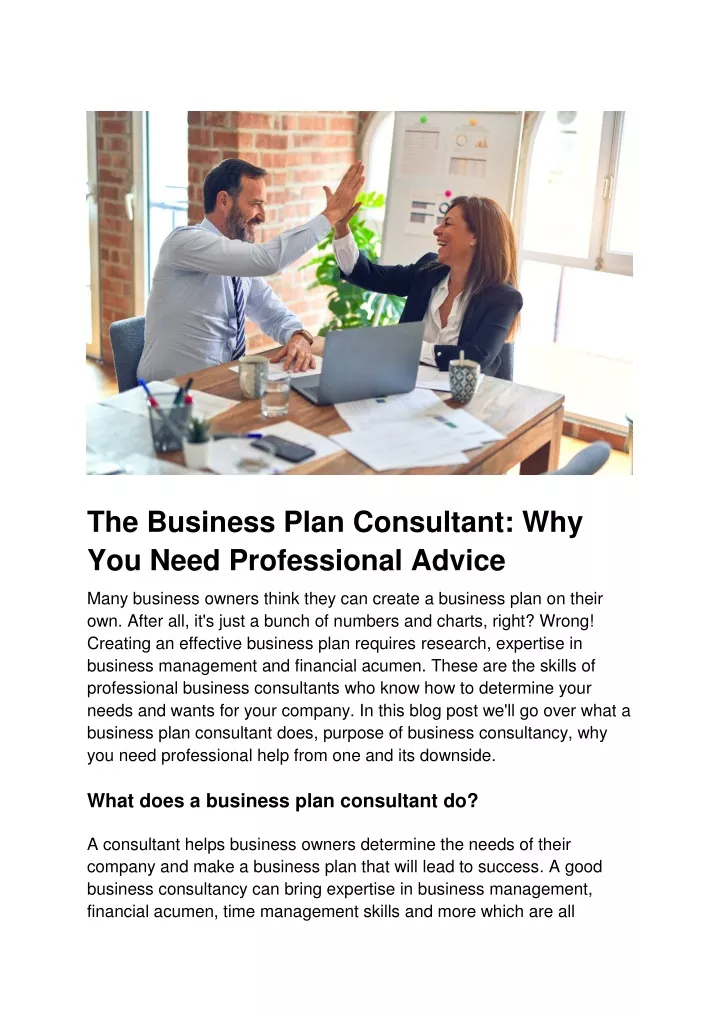 the business plan consultant why you need