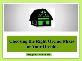 Choosing the Right Orchid Mixes for Your Orchids