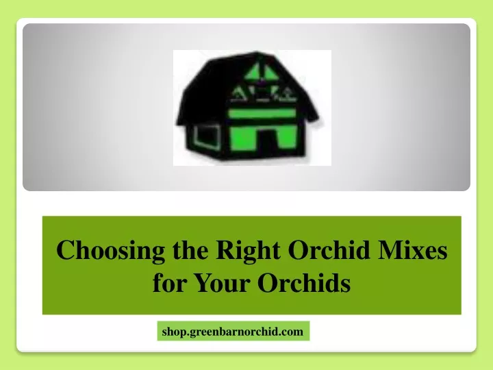 choosing the right orchid mixes for your orchids