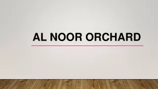 al noor orchard