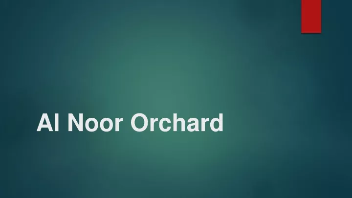 al noor orchard