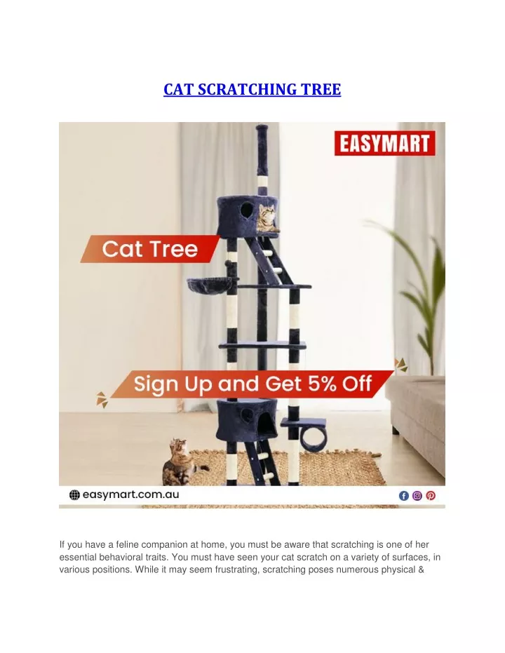 cat scratching tree