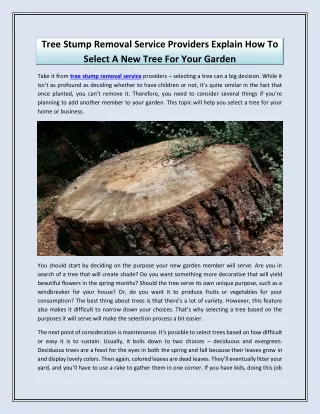 tree stump removal service providers explain