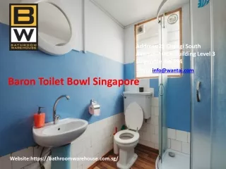 Baron Toilet Bowl Singapore